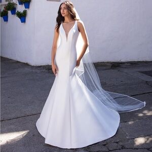 Pronovias Wedding Gown - size 0